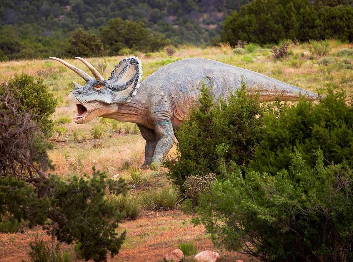 The Royal Gorge Dinosaur Experience